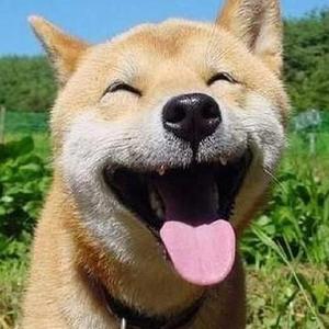 美女裸体❌开腿玩小玩具电影视频无需下载在线观看
