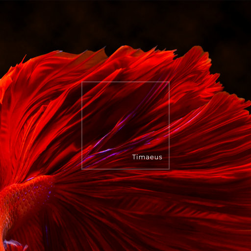 美女裸体❌开腿玩小玩具电影视频无需下载在线观看
